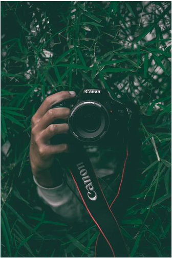 camera