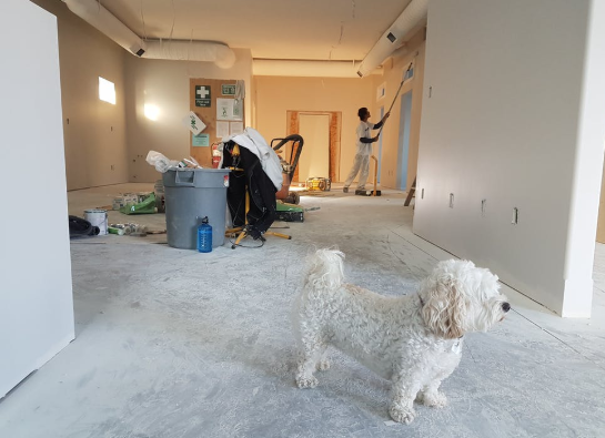 renovate